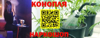 гашик Хасавюрт