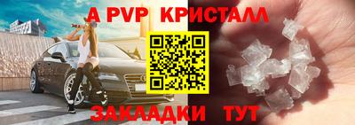 гашик Хасавюрт