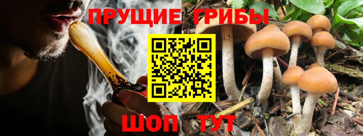 Галлюциногенные грибы мицелий  Вход с VPN  Благодарный  Галлюциногенные грибы MAGIC MUSHROOMS 